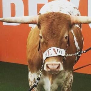 Meet your Posher, Thomas